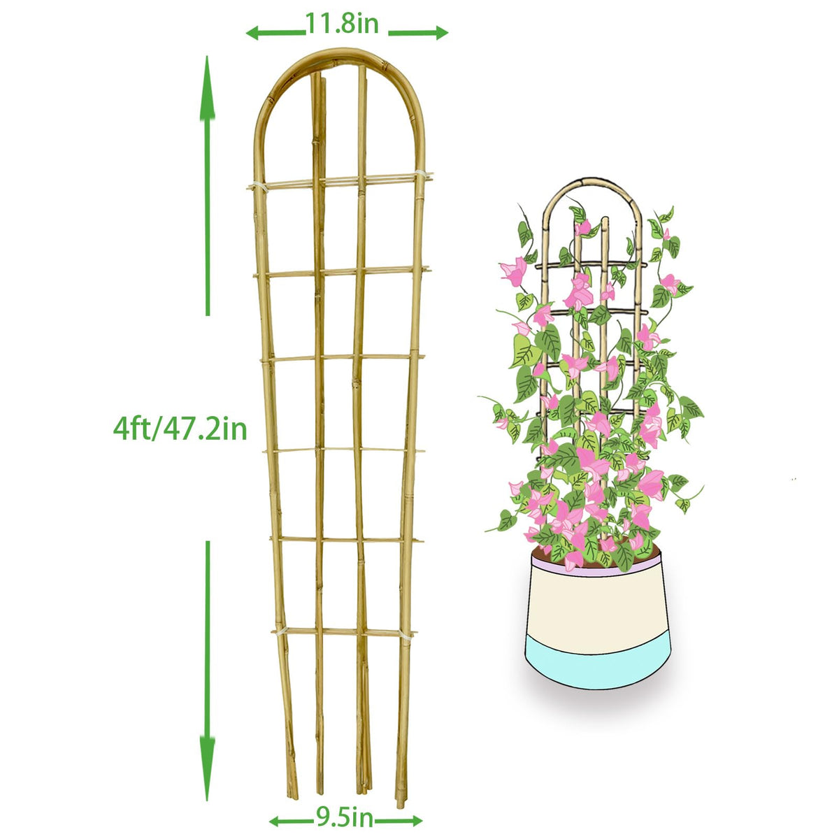 GUANGYE fan-shaped trellis provides stable plant support