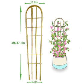 GUANGYE fan-shaped trellis provides stable plant support