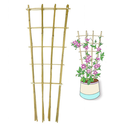 Guangye natural bamboo trellis front view for sturdy 3-pack plant support