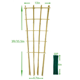 Guangye ladder-style trellis guides vines upward