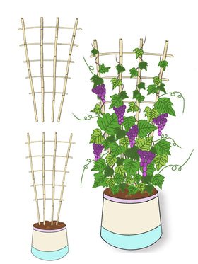 Guangye packaged trellis ready for delivery