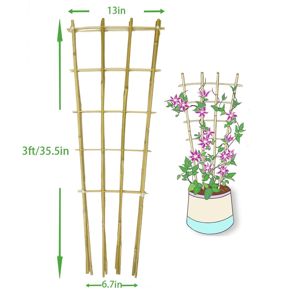 Guangye bamboo trellis side view ideal for space-saving vertical growth