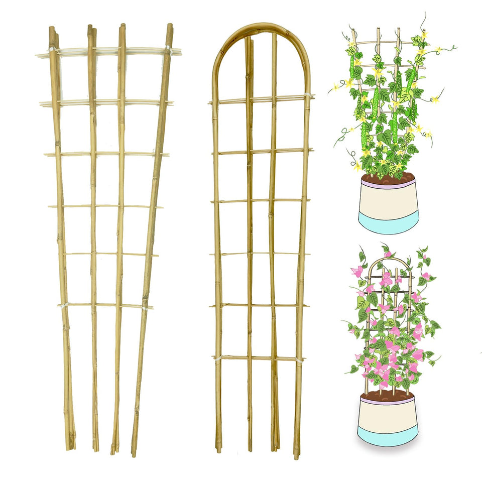 GUANGYE bamboo trellis 4ft fan-shaped supports climbing plants for better sunlight