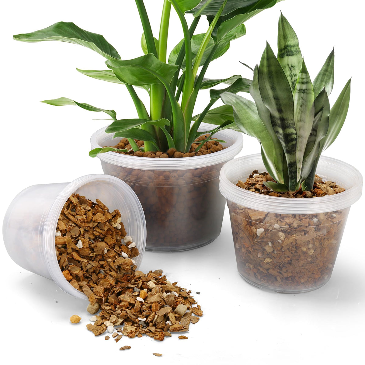 GUGEMEI clear nursery pot 8-inch showing drainage holes for easy watering