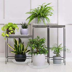 GUGEMEI plant saucer comes in a convenient 5-pack