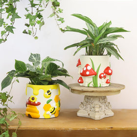 GUGUGO drainage-hole planter demonstrates easy water management for plants