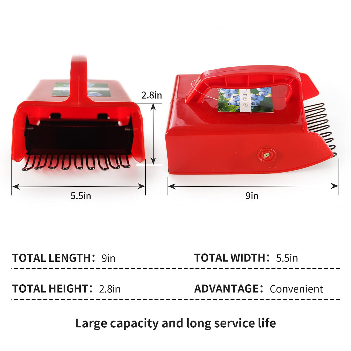 GUGULUZA-raised-edge design keeps berries secure while scooping.