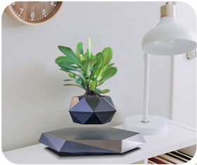 GUIYING 360-degree rotation feature lets you admire plants from every angle.