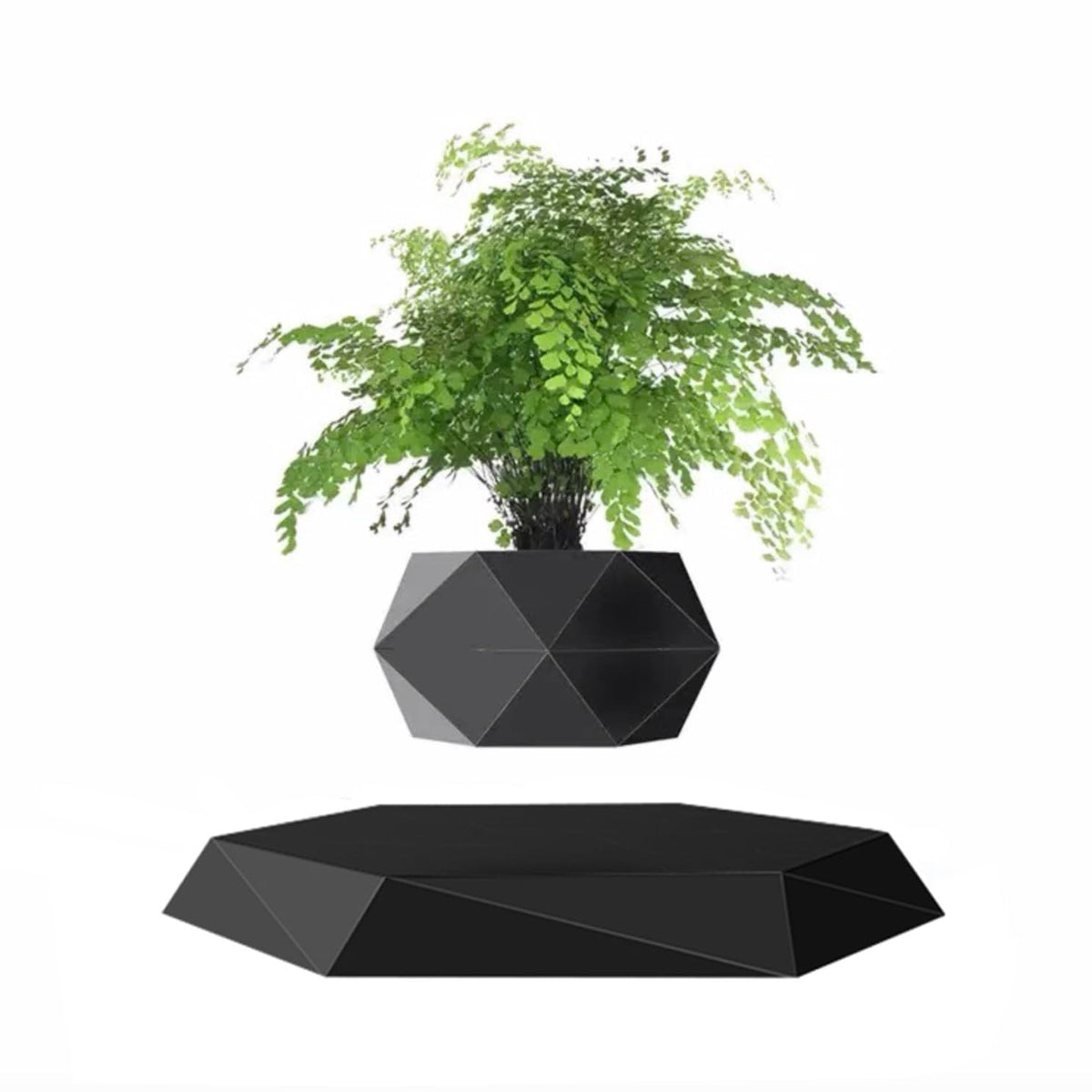 GUIYING magnetic levitating flower pot in black hexagon design floats and captivates desk decor.