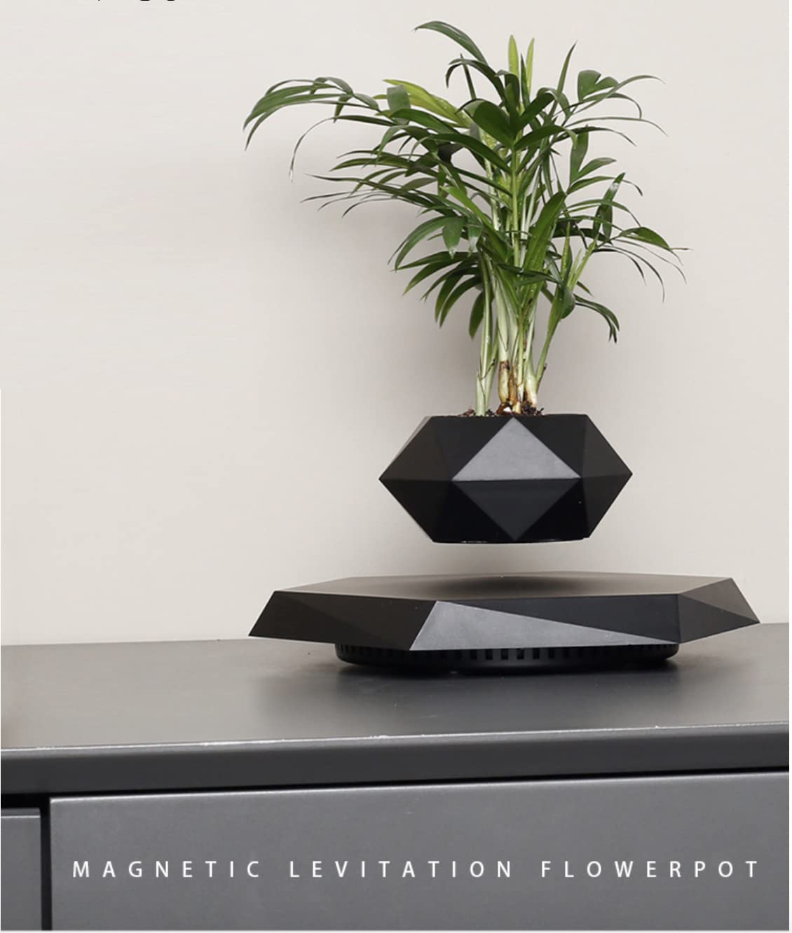 GUIYING gift-ready packaging highlights a stylish, ready-to-gift plant display.