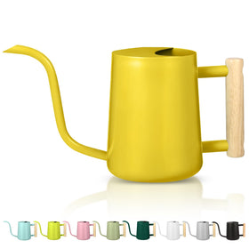 GUKJOB watering can with 35oz capacity for precise indoor plant care