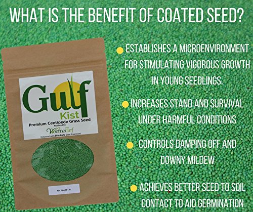 Close-up of Gulf Kist Centipede Seed coating aiding quick germination.