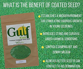 Close-up of Gulf Kist Centipede Seed coating aiding quick germination.