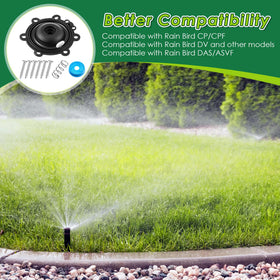 Gulfmew diaphragm repair kit DV compatibility closeup supports reliable valve operation