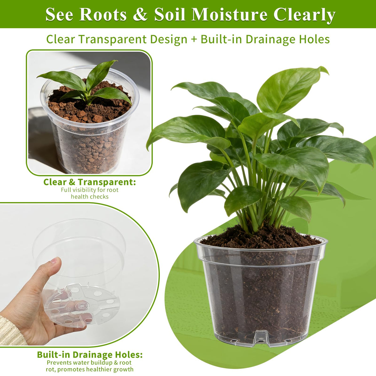 Gute 10-inch clear nursery pot for bigger transplants and moisture tracking.