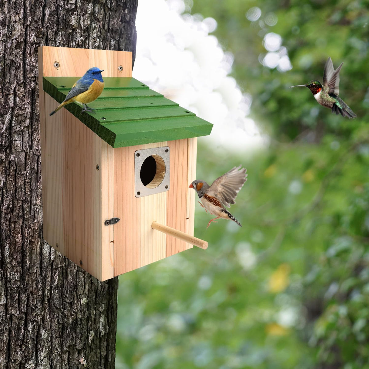Gute Bird House one-and-one-half-inch entrance hole attracts target birds