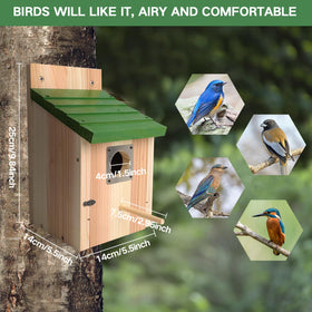 Gute Bird House shows untreated cedar wood for natural, weather-ready use