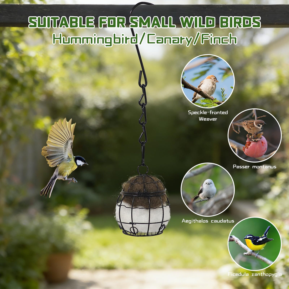 Gute gift for bird lovers to enjoy backyard nature