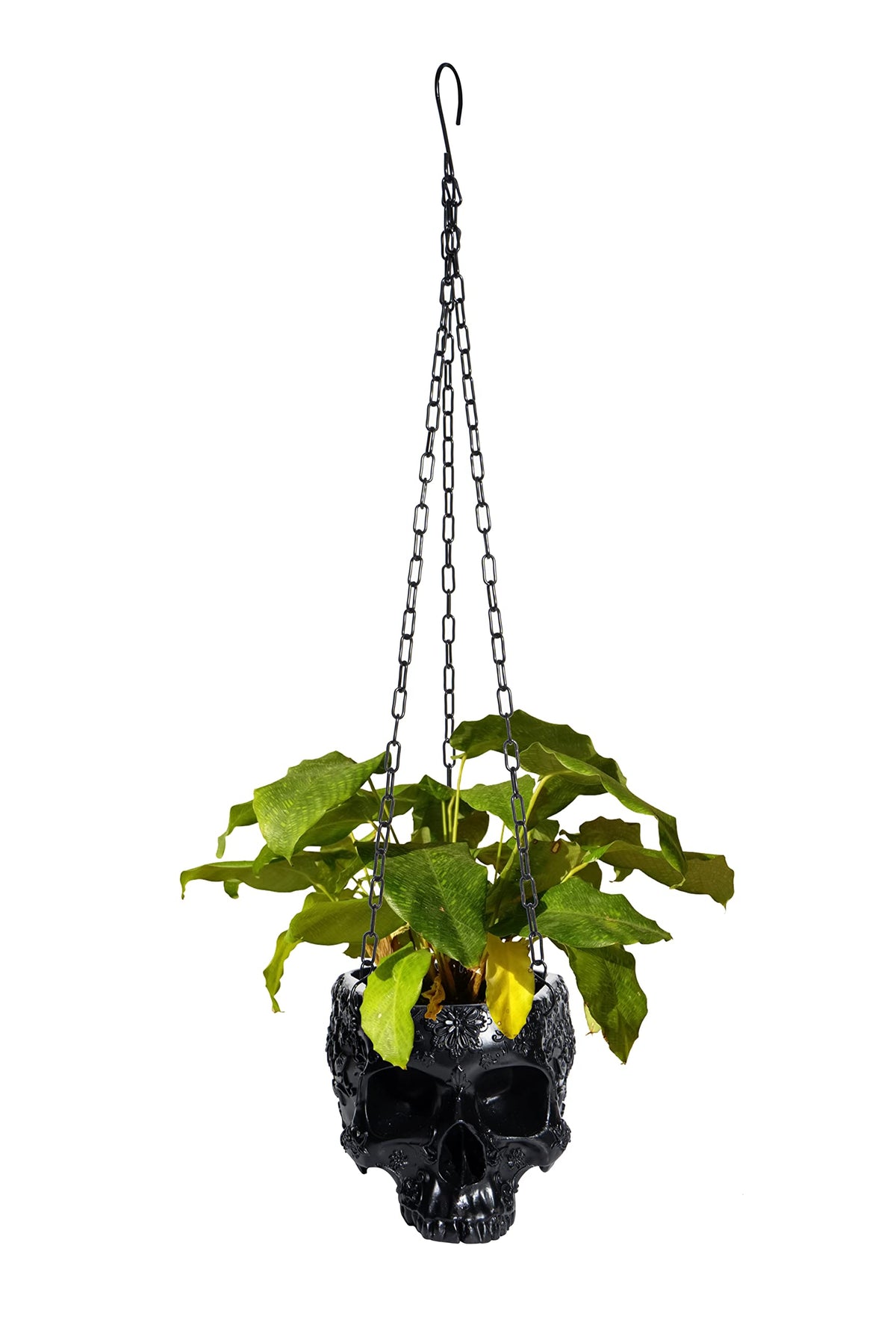 GUTE Hanging Skull Planter shows laser-engraved detailing for a unique decorative piece.