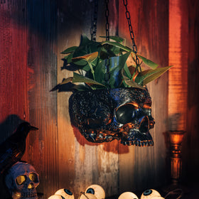 GUTE skull planter in matte black adds dramatic indoor or outdoor accent.