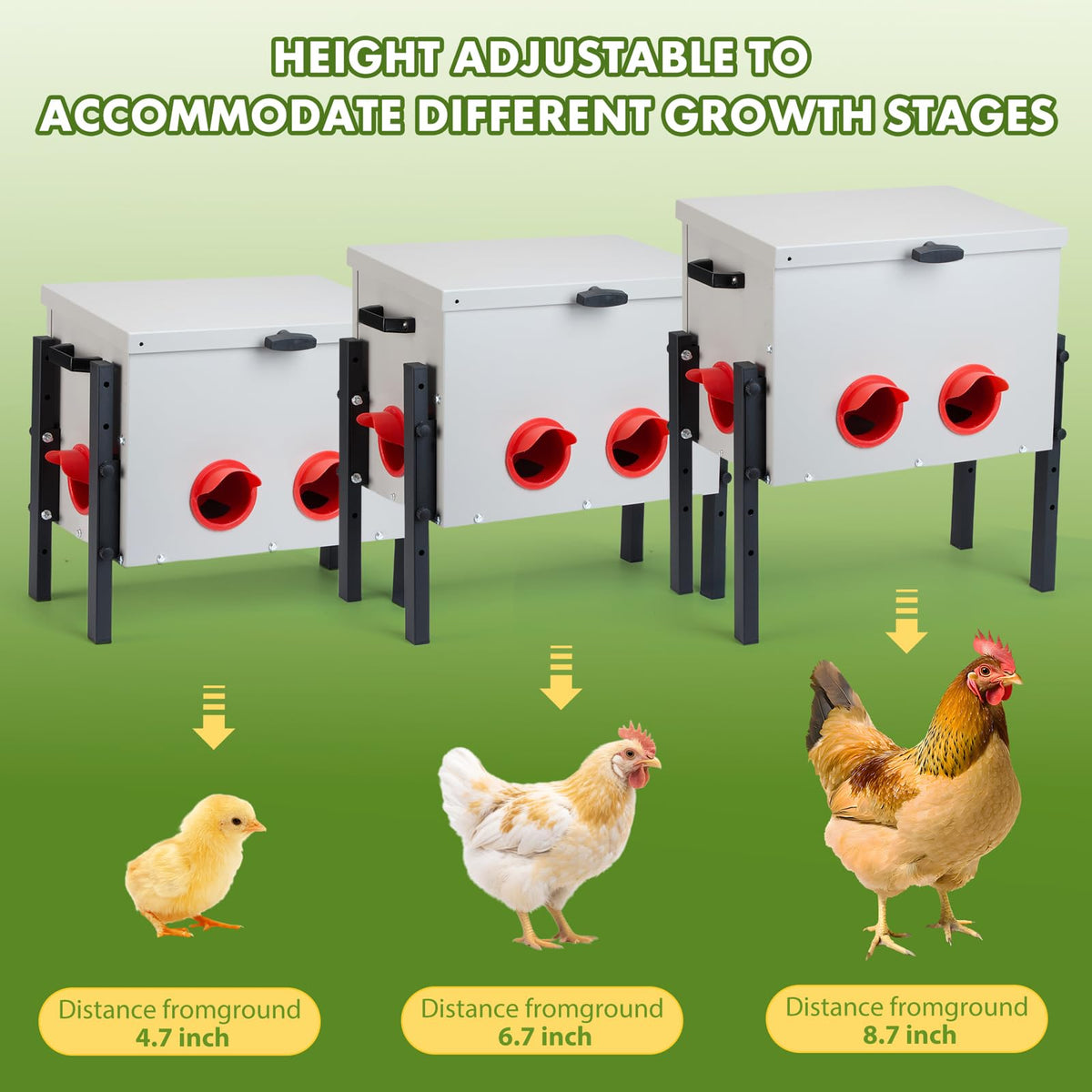 GVGBUK adjustable-height bracket at 8in for comfortable feeding across breeds.