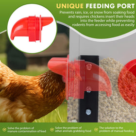 GVGBUK raised box design with 8-inch clearance reduces ground moisture exposure.