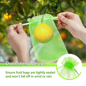 GWHOLE bags shielding grapes and strawberries from birds and pests.