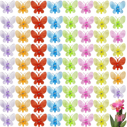 GXXMEI butterfly orchid clips color variety secure orchid spikes for bloom support