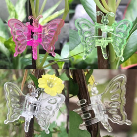 GXXMEI butterfly orchid clips used on vines and tomatoes for practical support