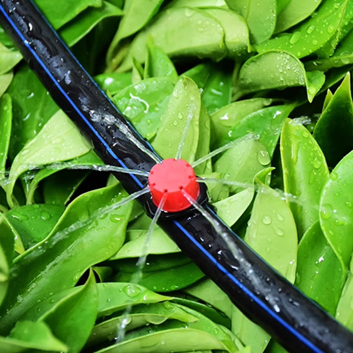GXXMEI full-circle spray covers a 10-12 inch area for plant clusters.