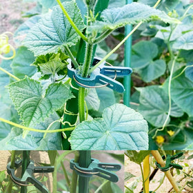 GXXMEI garden clips keep beans, cucumbers, and peppers upright