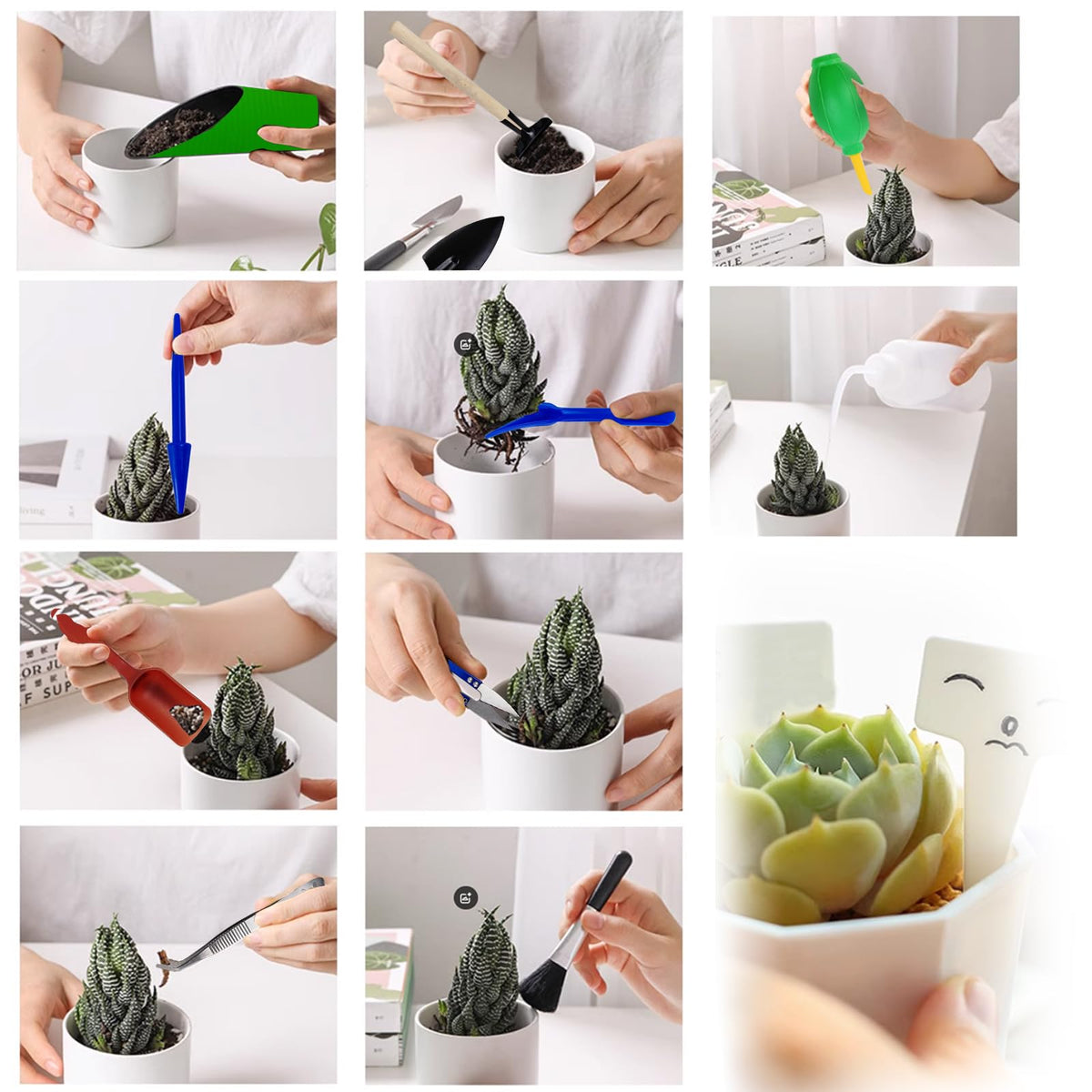 GXXMEI cleaning brush keeps small plants tidy