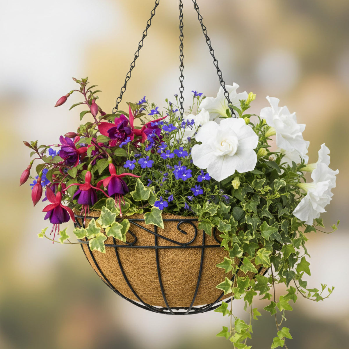 GYATSOCYG ideal for edible plants, flowers, and trailing greens.
