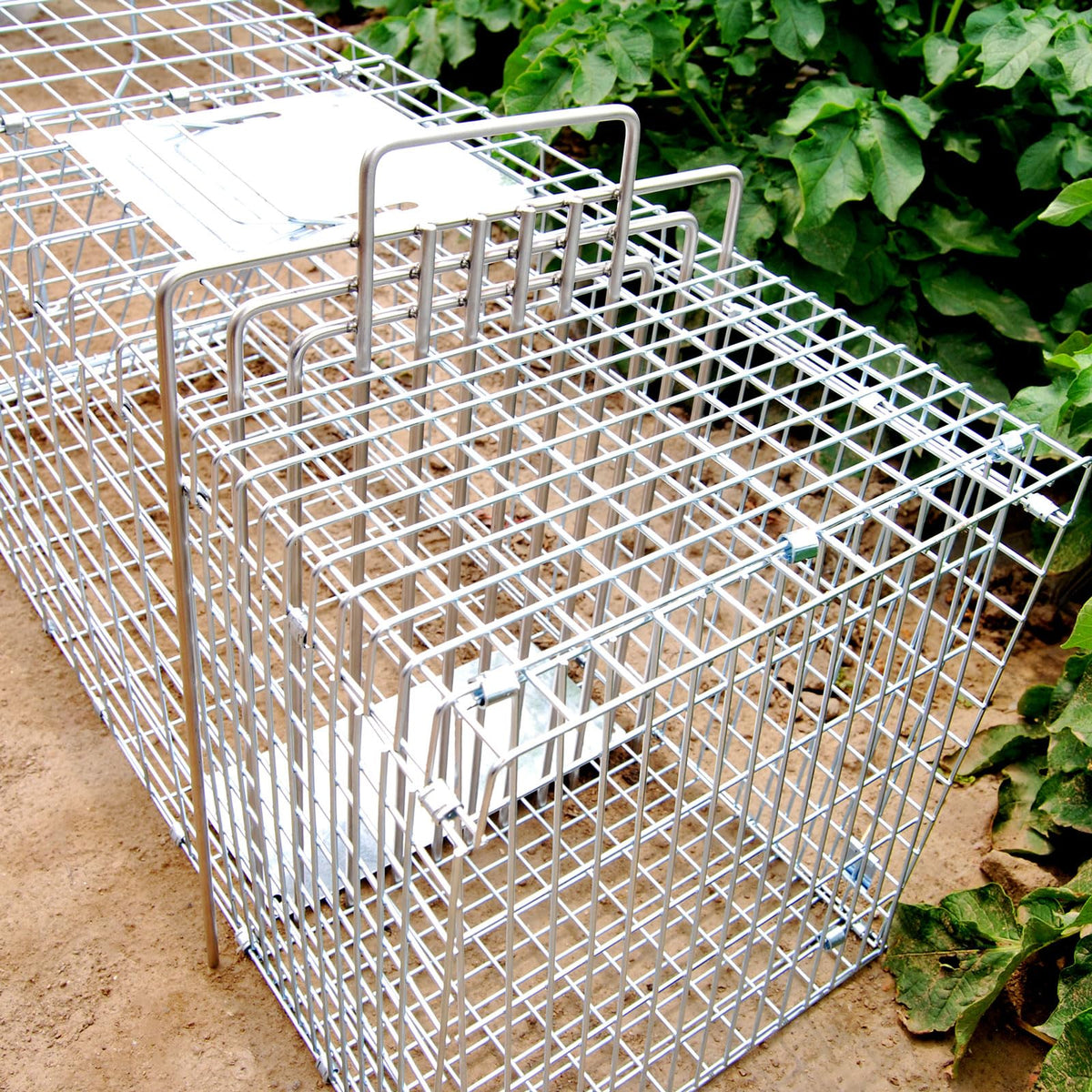 GYFCI trap divider quick install supports humane trapping and efficient management.