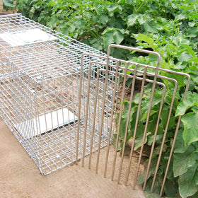 GYFCI trap divider easily slides into traps enabling quick reconfigurations in the field.
