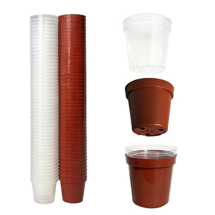 Gyfofix 2-inch round pot with root-view design for easy seed germination monitoring.