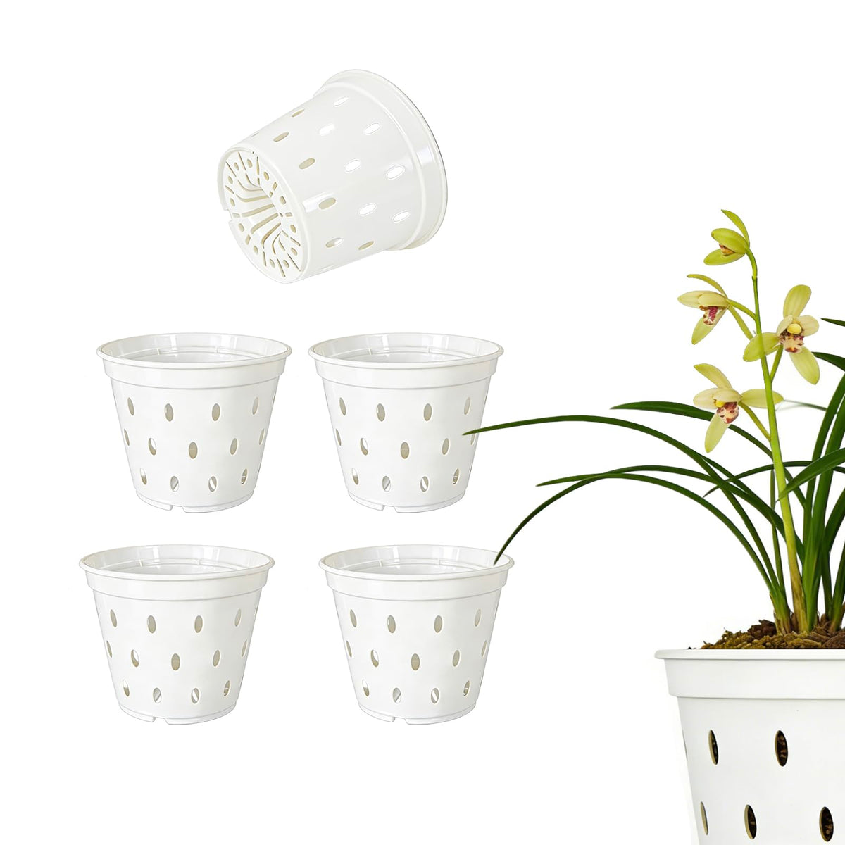 Gyfofix 5-pack orchid pots with 5.5-inch diameter promote healthy roots