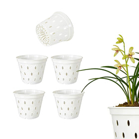 Gyfofix 5-pack orchid pots with 5.5-inch diameter promote healthy roots
