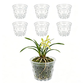 Gyfofix six-pack 5-inch clear orchid pots with drainage holes for healthy root air flow
