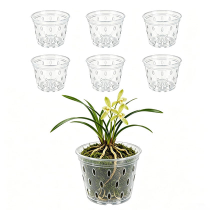 Gyfofix six-pack 5-inch clear orchid pots with drainage holes for healthy root air flow