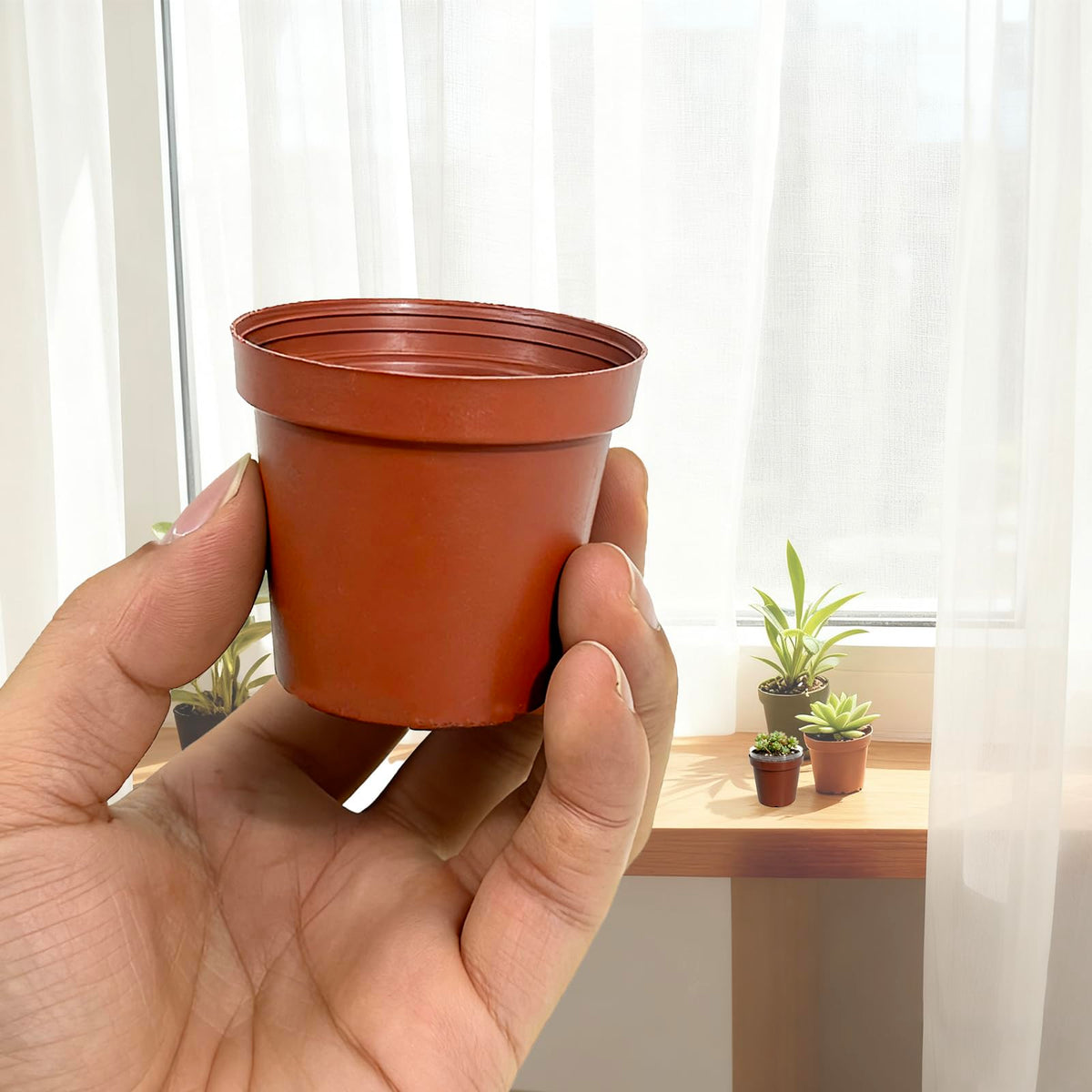 Gyfofix compact 2-inch pots suit home, office, and small gardens.