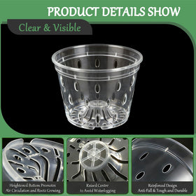 Gyfofix transparent orchid pots demonstrating anti-clog base design
