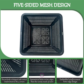 Gyfofix plastic plant basket protecting roots from fish nibbling