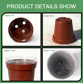 Gyfofix red pot blocks light, helping seedlings when needed.
