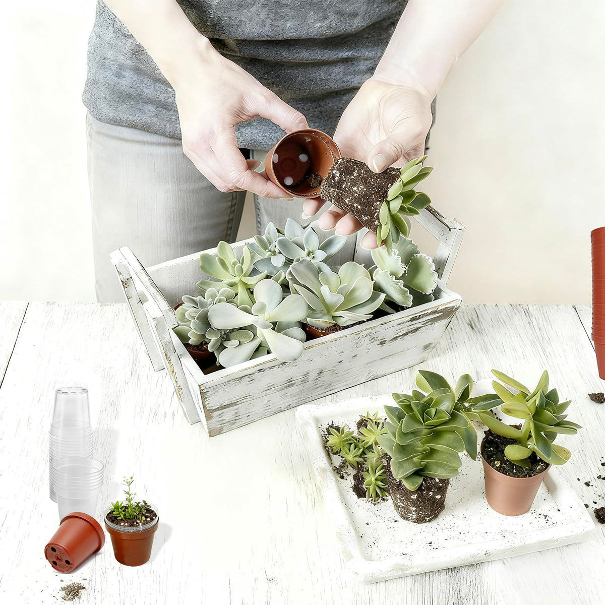 Gyfofix round pot includes drainage holes for healthy water management.