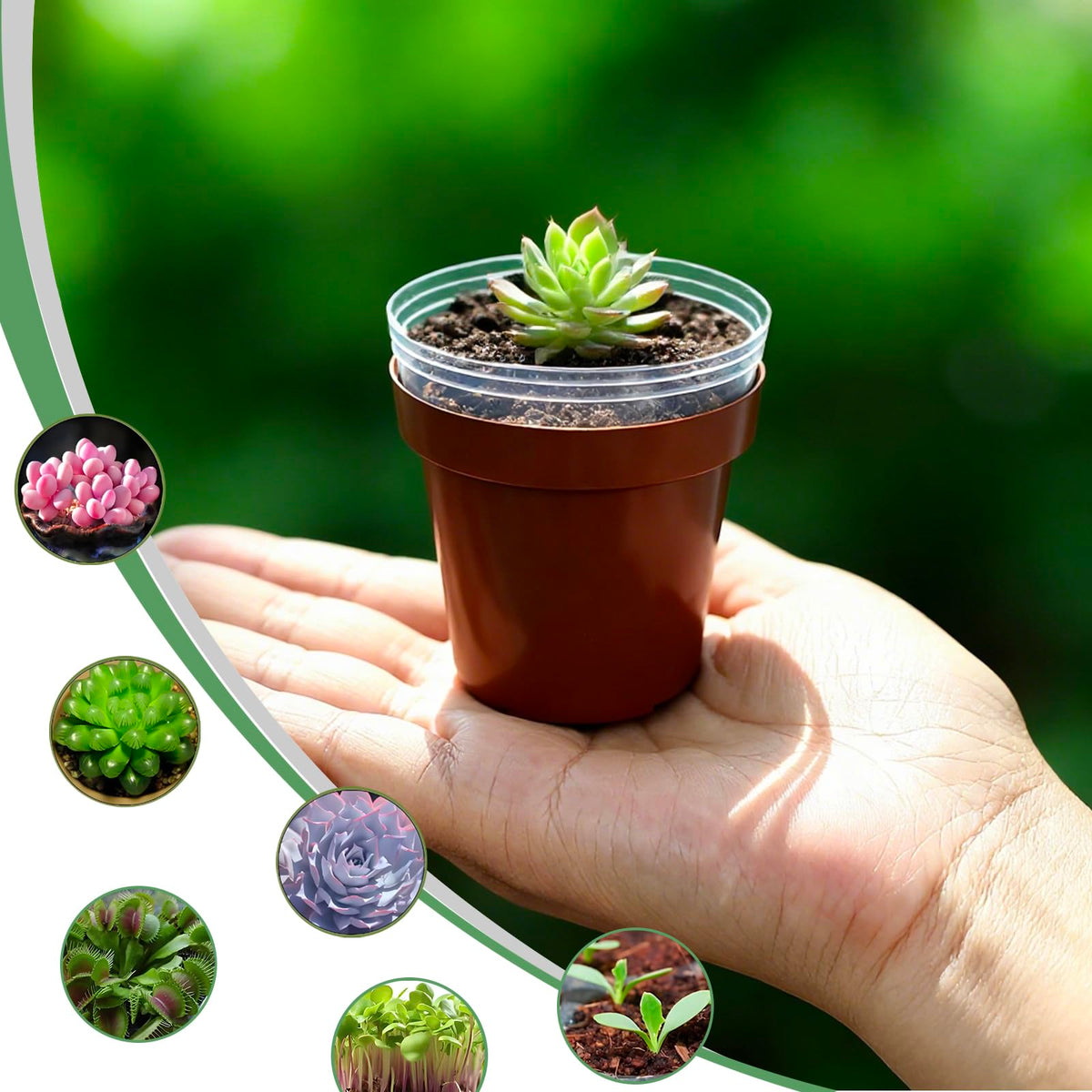 Gyfofix stackable seed-start pots save space for busy gardeners.
