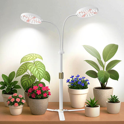 GYTF grow light dual ring 3.5-inch heads, even coverage for indoor desk plants