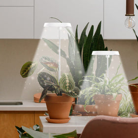 GYTF Halo rotatable head to aim light precisely