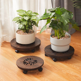 GZQWDC plant stand with lockable wheels keeps plants secure in place.