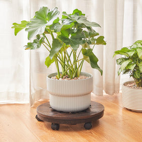 GZQWDC wood plant stand shows lockable wheels for secure placement on various surfaces.